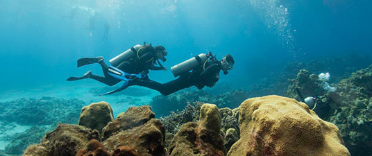 diving-4